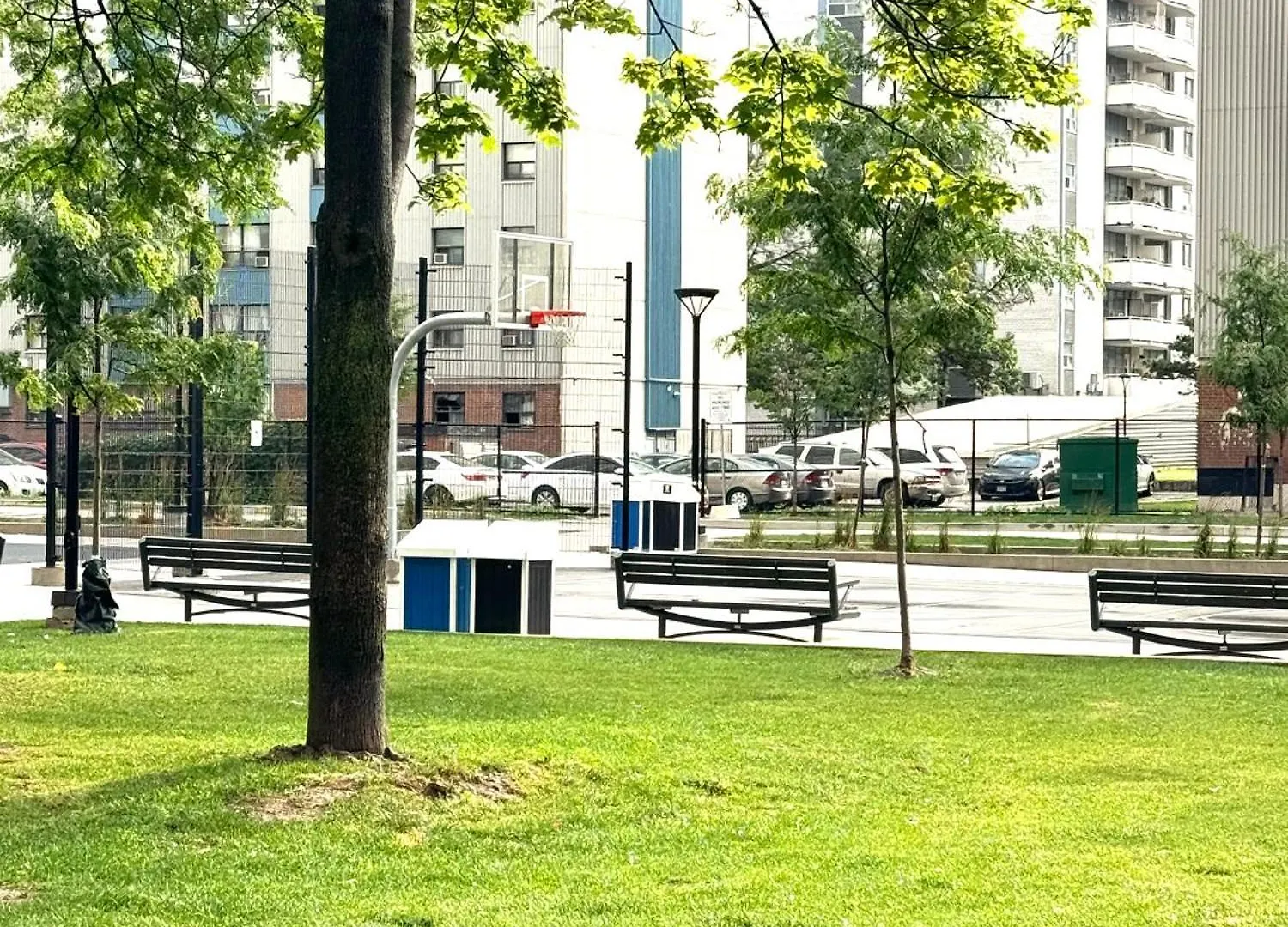 Private Double Room In Downtown Toronto, 15 Mins To Cn Tower, Steps To Subway Homestay Toronto